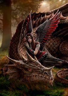 winged companions