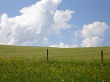 Frühling