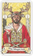 robin-wood-magier