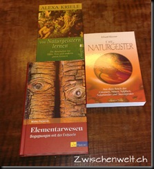 Naturgeisterbuch